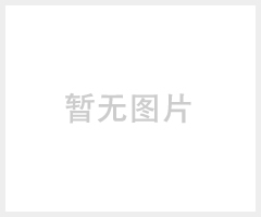 雙柱鋁合金升降機(jī)